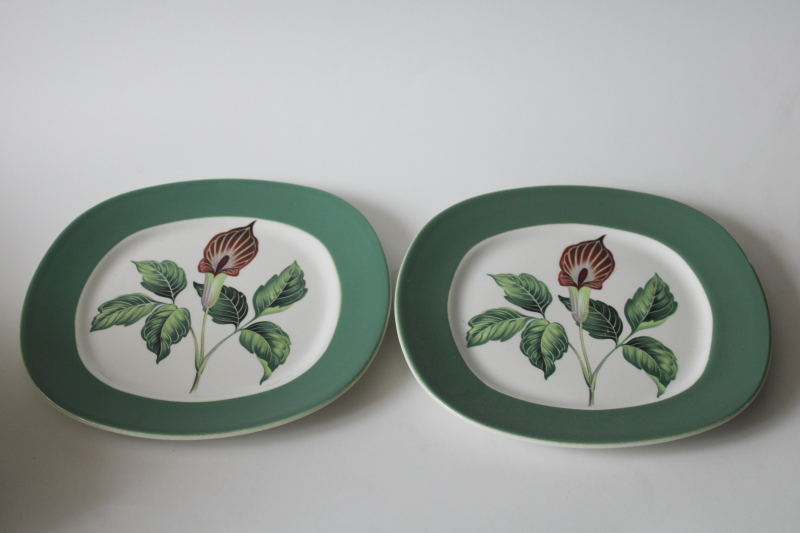 photo of MCM vintage ceramic plates green jack in the pulpit spring wildflowers, King o Dell  #2