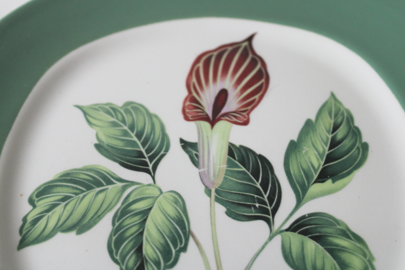 photo of MCM vintage ceramic plates green jack in the pulpit spring wildflowers, King o Dell  #3