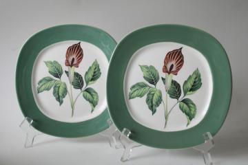 catalog photo of MCM vintage ceramic plates green jack in the pulpit spring wildflowers, King o Dell 