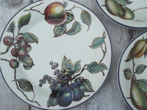 photo of Macintosh fruit pattern Pier 1 china dinner plates & soup bowls for 8 #3