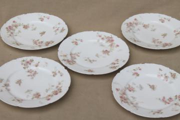 catalog photo of Marie pink floral vintage Haviland Limoges china, small bread & butter or dessert plates