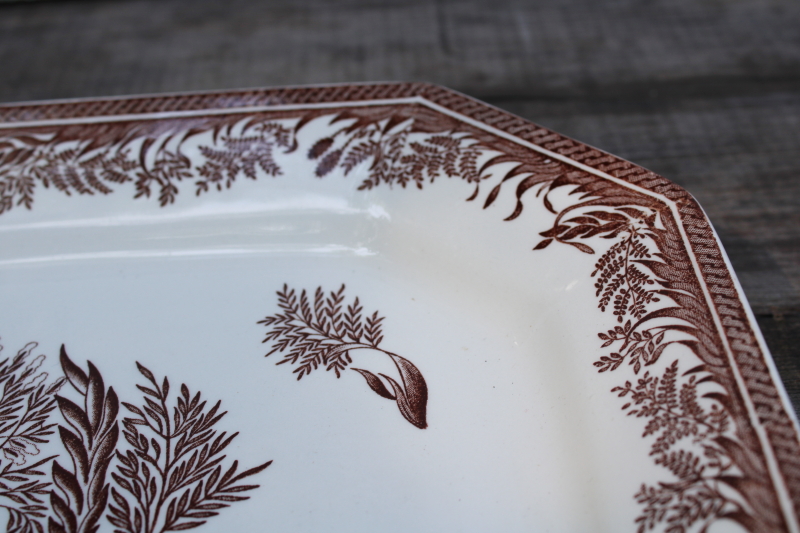 photo of Martha Stewart Danish Fern pattern brown transferware English ironstone platter early 2000s vintage  #3