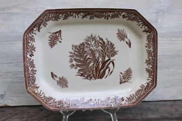 catalog photo of Martha Stewart Danish Fern pattern brown transferware English ironstone platter early 2000s vintage 