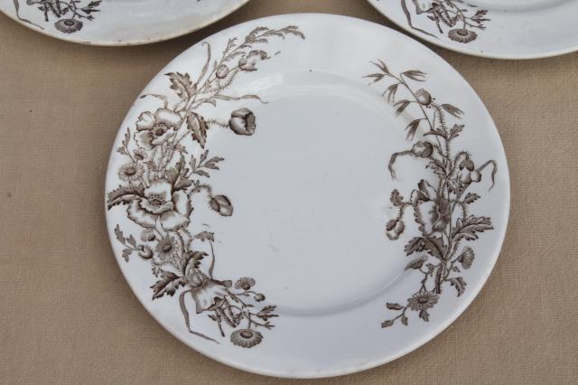 photo of Meakin - Essex antique brown transferware ironstone china plates poppies & wildflowers #2