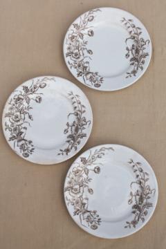 catalog photo of Meakin - Essex antique brown transferware ironstone china plates poppies & wildflowers