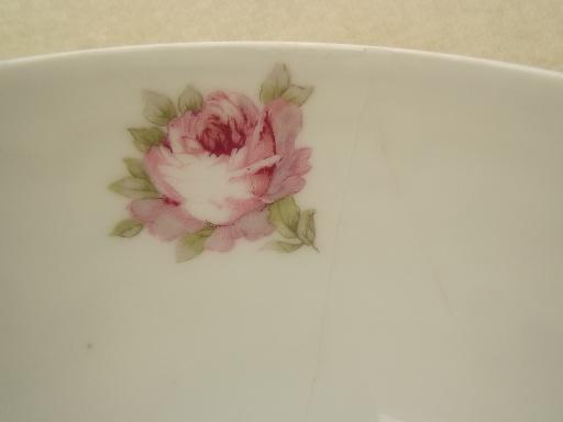 photo of Mignon floral vintage  Z S & Co Bavaria china flowered plates & cups #5