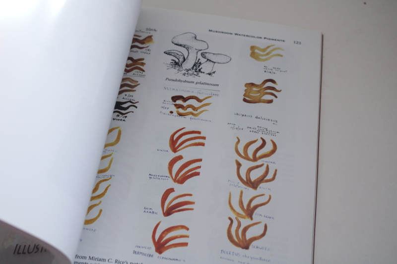 photo of Mushrooms for Dyes, Paper, Pigments & Myco Stix, art with natural colors  #3