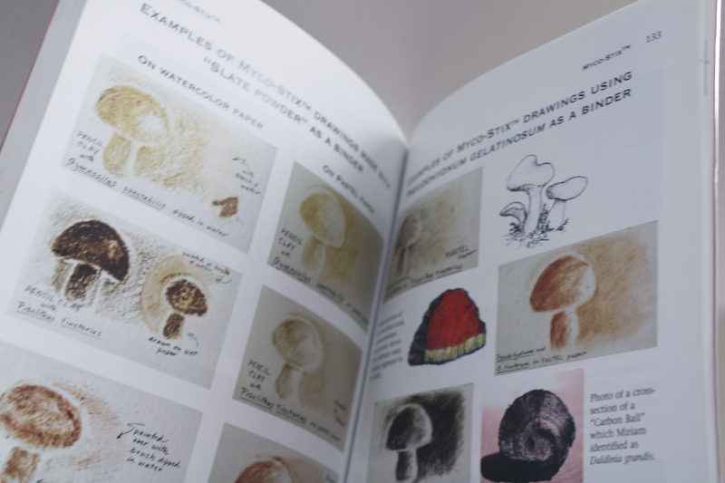 photo of Mushrooms for Dyes, Paper, Pigments & Myco Stix, art with natural colors  #4