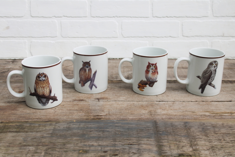 photo of National Wildlife Federation ceramic mugs set different owls natural history bird species #2