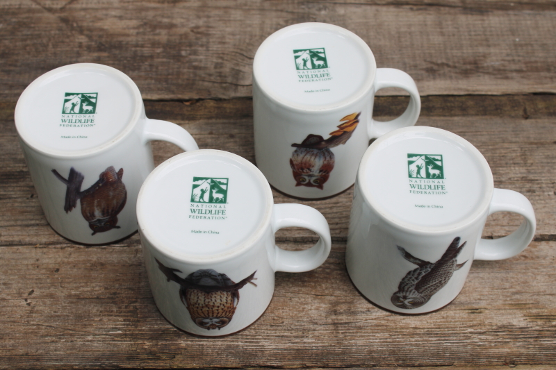 photo of National Wildlife Federation ceramic mugs set different owls natural history bird species #4