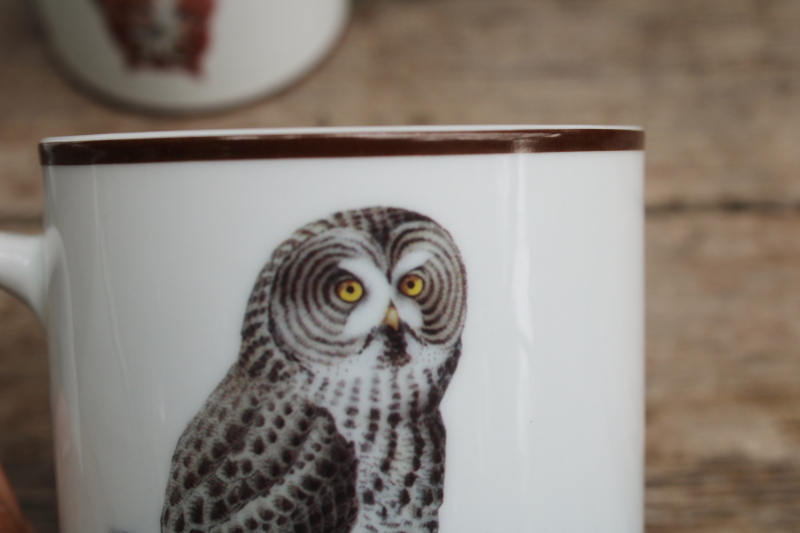 photo of National Wildlife Federation ceramic mugs set different owls natural history bird species #5