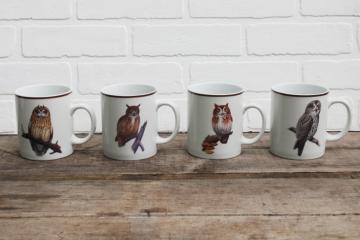 catalog photo of National Wildlife Federation ceramic mugs set different owls natural history bird species 