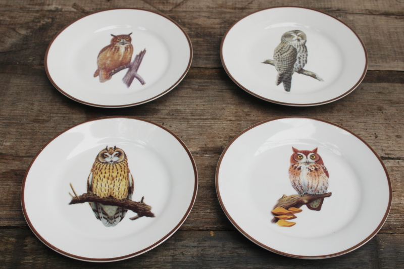 photo of National Wildlife Federation ceramic plates different owls natural history bird species #2