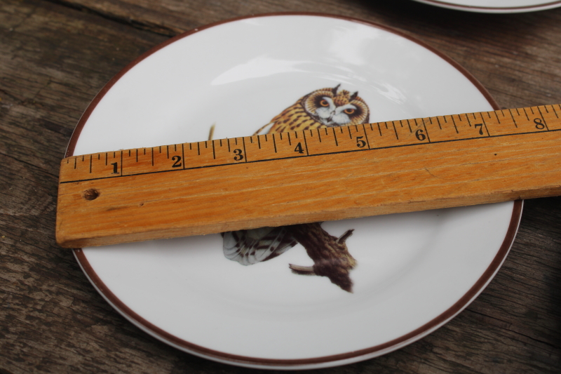 photo of National Wildlife Federation ceramic plates different owls natural history bird species #5