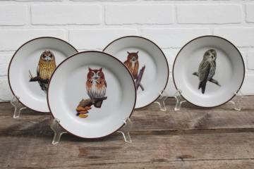 catalog photo of National Wildlife Federation ceramic plates different owls natural history bird species 