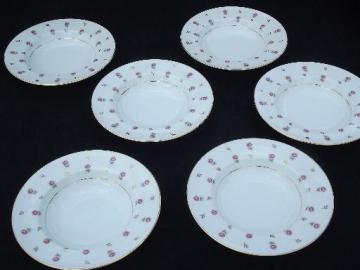 catalog photo of Noritake Rosalie rosebud chintz border china soup plates, 6 rimmed bowls