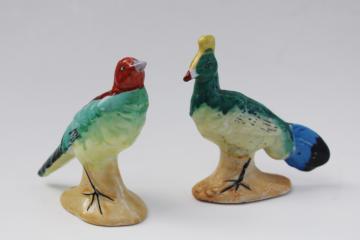 catalog photo of Occupied Japan hand painted china miniature birds figurines, peacock & red head bird