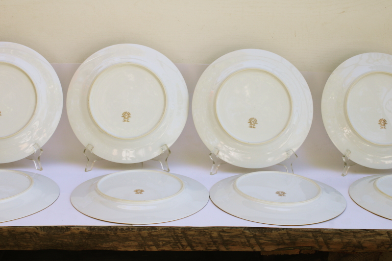 photo of Occupied Japan vintage Noritake china dinner plates set of 8, Goldana pattern hand painted gold  #7