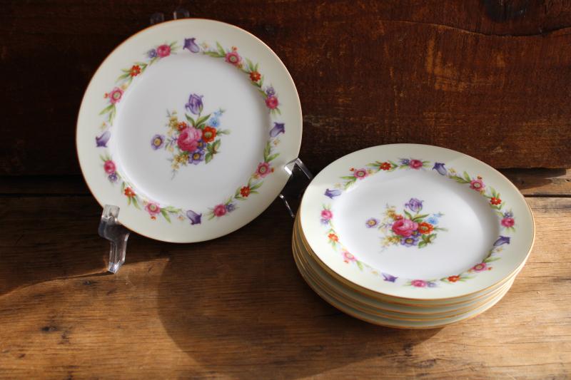 photo of Occupied Japan vintage hand painted china bread or dessert plates, Sango Dresdenia floral #5