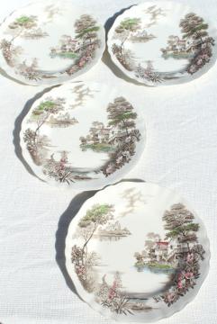 catalog photo of Olde Avon Dale transferware china, vintage J & G Meakin English Staffordshire dinner plates