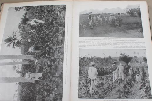 photo of Our Islands & Their People vintage 1899, antique photos of Cuba, Hawaii etc. #9