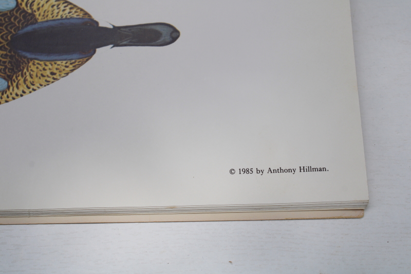 photo of Painting Duck Decoys vintage Dover book w/ full color plates nice for framing #4