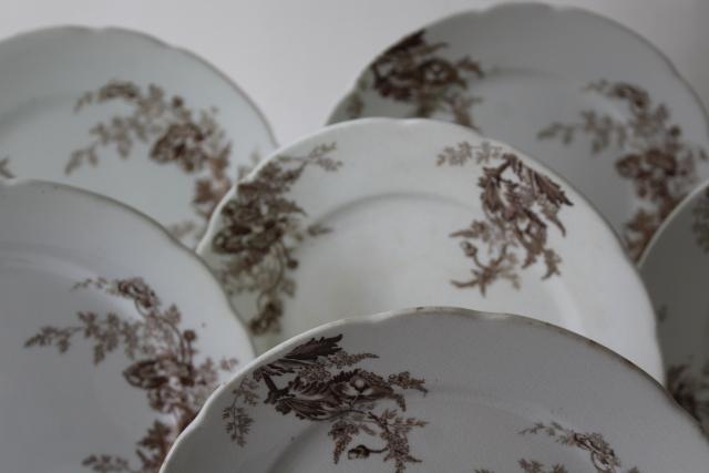 photo of Paris brown transferware poppy floral antique vintage Johnson Brothers china salad plates #3