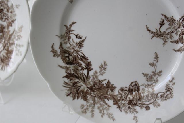 photo of Paris brown transferware poppy floral antique vintage Johnson Brothers china salad plates #4