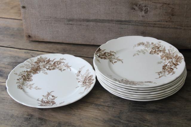 photo of Paris brown transferware poppy floral antique vintage Johnson Brothers china salad plates #8