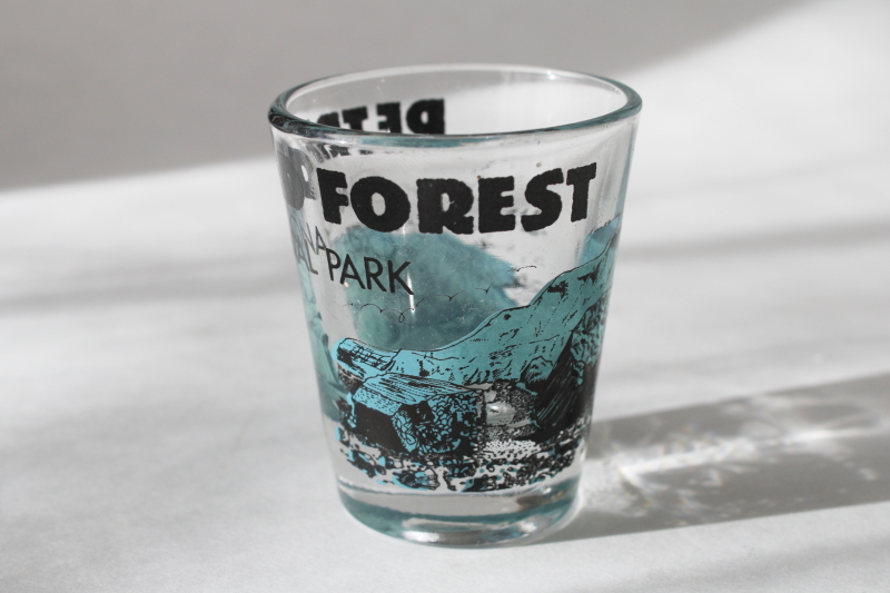 photo of Petrified Forest National Park print shot glass vintage collectible souvenir  #2