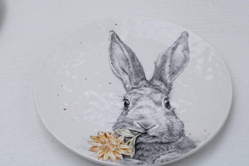 photo of Pier 1 Easter bunny pattern dishes, ceramic salad plates w/ spring flowers, butterflies & rabbits #3