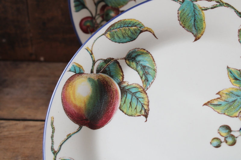 photo of Pier 1 Macintosh pattern dinner plates, botanical fruit print in antique illustration style #2