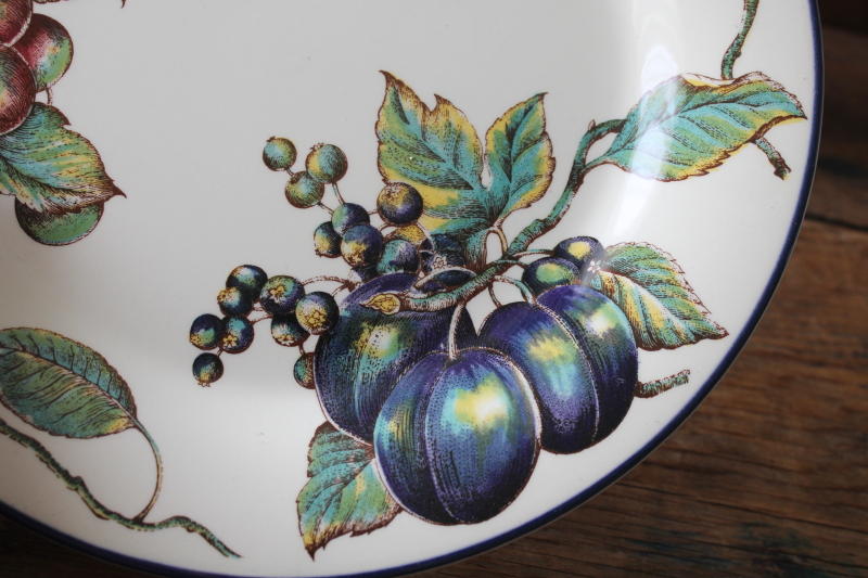 photo of Pier 1 Macintosh pattern dinner plates, botanical fruit print in antique illustration style #3