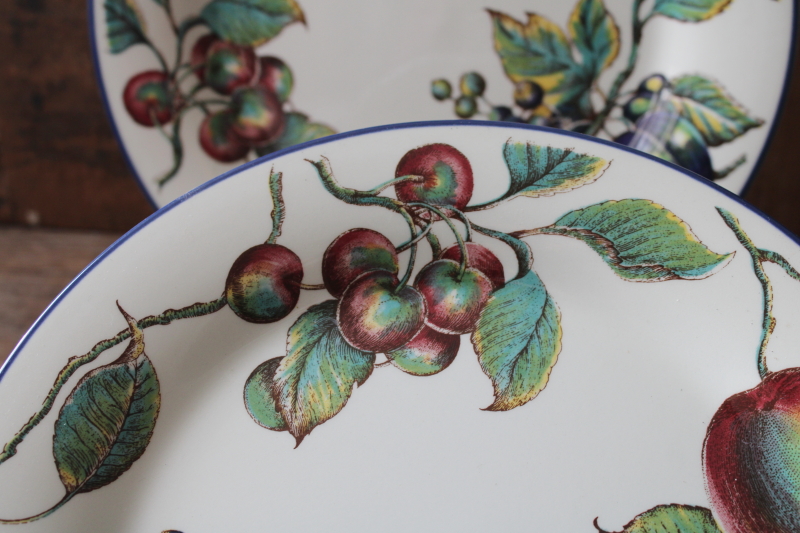 photo of Pier 1 Macintosh pattern dinner plates, botanical fruit print in antique illustration style #4