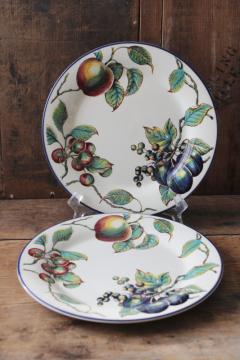 catalog photo of Pier 1 Macintosh pattern dinner plates, botanical fruit print in antique illustration style 