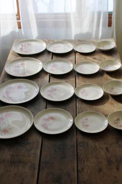 catalog photo of Pink Bamboo mid-century mod vintage pottery dinnerware, plates in three sizes, bowls