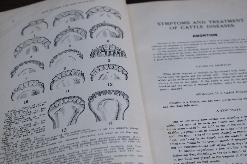 photo of Practical Home Veterinarian David Roberts farm livestock vet care medical guides vintage editions #6