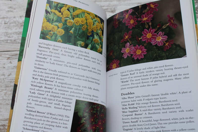 photo of Primroses and Auriculas flower varieties & growing, RHS Wisley garden handbook  #3