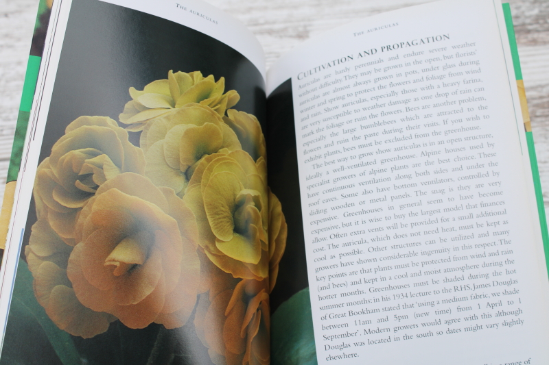 photo of Primroses and Auriculas flower varieties & growing, RHS Wisley garden handbook  #4