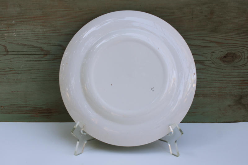 photo of Queen Elizabeth II Silver Jubilee coronation plate vintage 1977 QEII portrait  #4