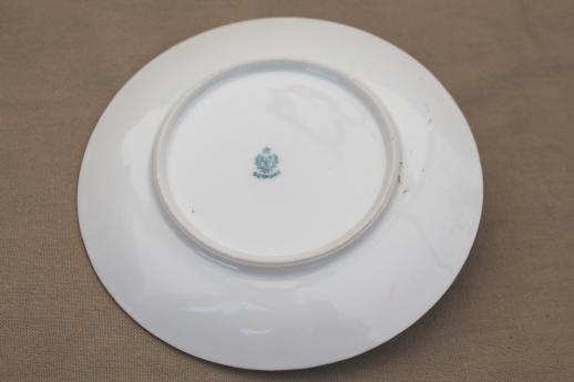 photo of R S Germany antique hand-painted porcelain lemon server, china plate with handle #5