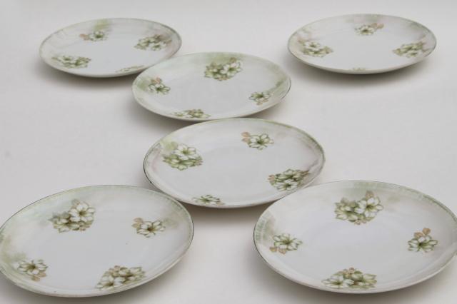 photo of RS Germany china plates, antique dessert set dishes w/ hand painted flowers & luster #1