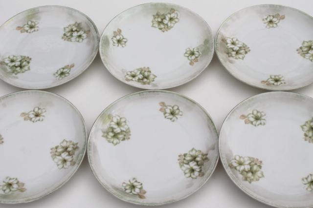 photo of RS Germany china plates, antique dessert set dishes w/ hand painted flowers & luster #2