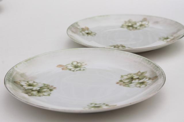 photo of RS Germany china plates, antique dessert set dishes w/ hand painted flowers & luster #7