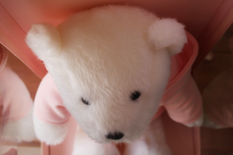 photo of Ralph Lauren Romance teddy bear in box, Polo logo pink hoodie sweater  #6