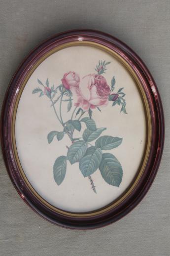 photo of Redoute roses floral botanical prints, pair of vintage pictures in oval frames #2