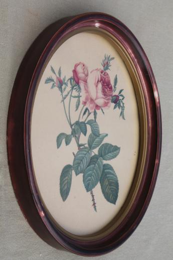 photo of Redoute roses floral botanical prints, pair of vintage pictures in oval frames #3