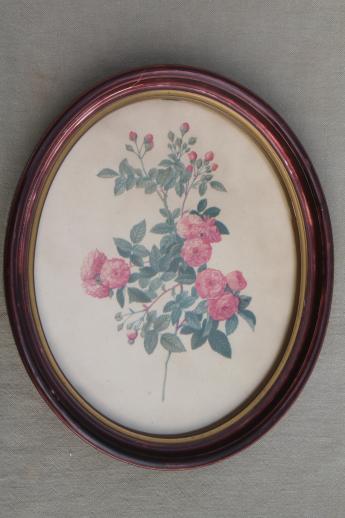 photo of Redoute roses floral botanical prints, pair of vintage pictures in oval frames #4