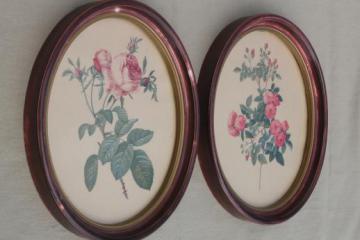 catalog photo of Redoute roses floral botanical prints, pair of vintage pictures in oval frames