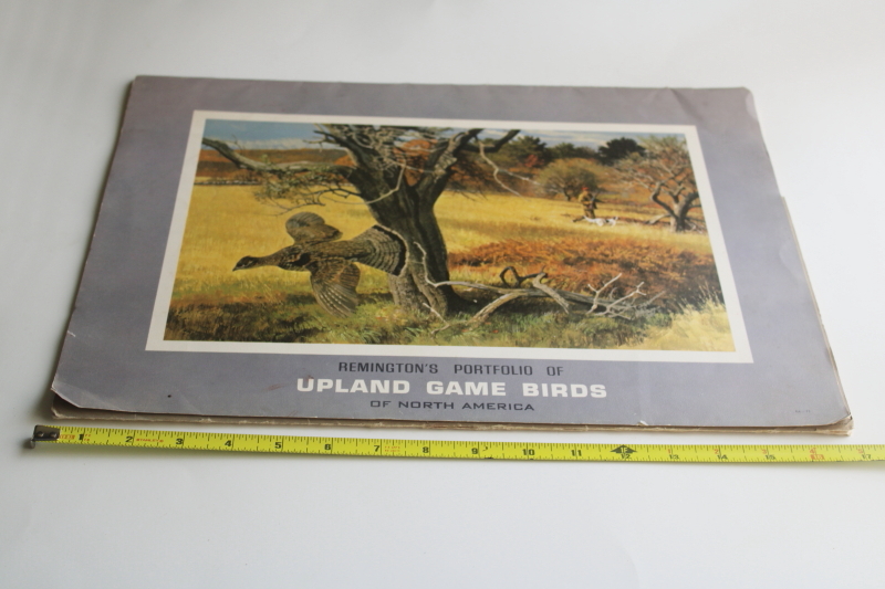 photo of Remington's portfolio Upland Game Birds hunting, vintage art prints for framing  #1